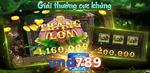 vnd789